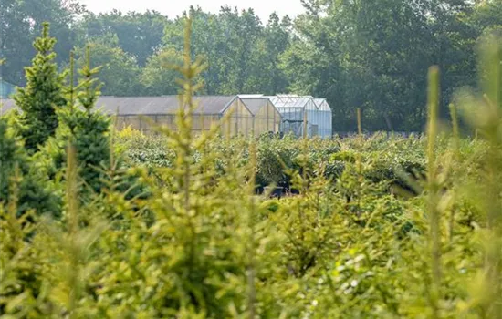 Gewächshäuser: für jeden Hobbygärtner gibt es das richtige Gewächshäuser: für jeden Hobbygärtner gibt es das richtige