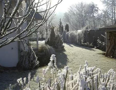 Den Garten winterfest machen – Was man beachten muss, damit nichts friert Den Garten winterfest machen – Was man beachten muss, damit nichts friert
