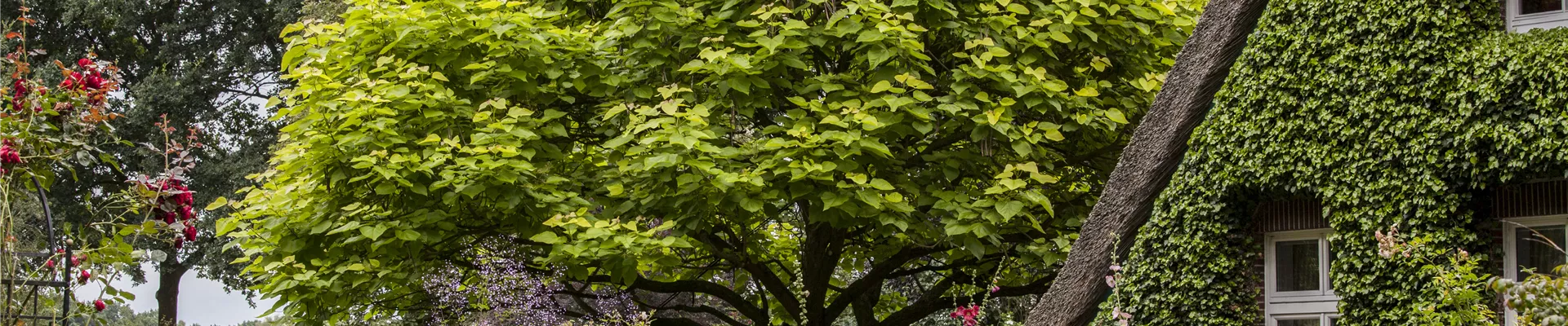 GS503760.jpg GS503760.jpg