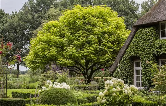 Gartenplanung leicht gemacht - damit der Garten zu einem Paradies wird Gartenplanung leicht gemacht - damit der Garten zu einem Paradies wird